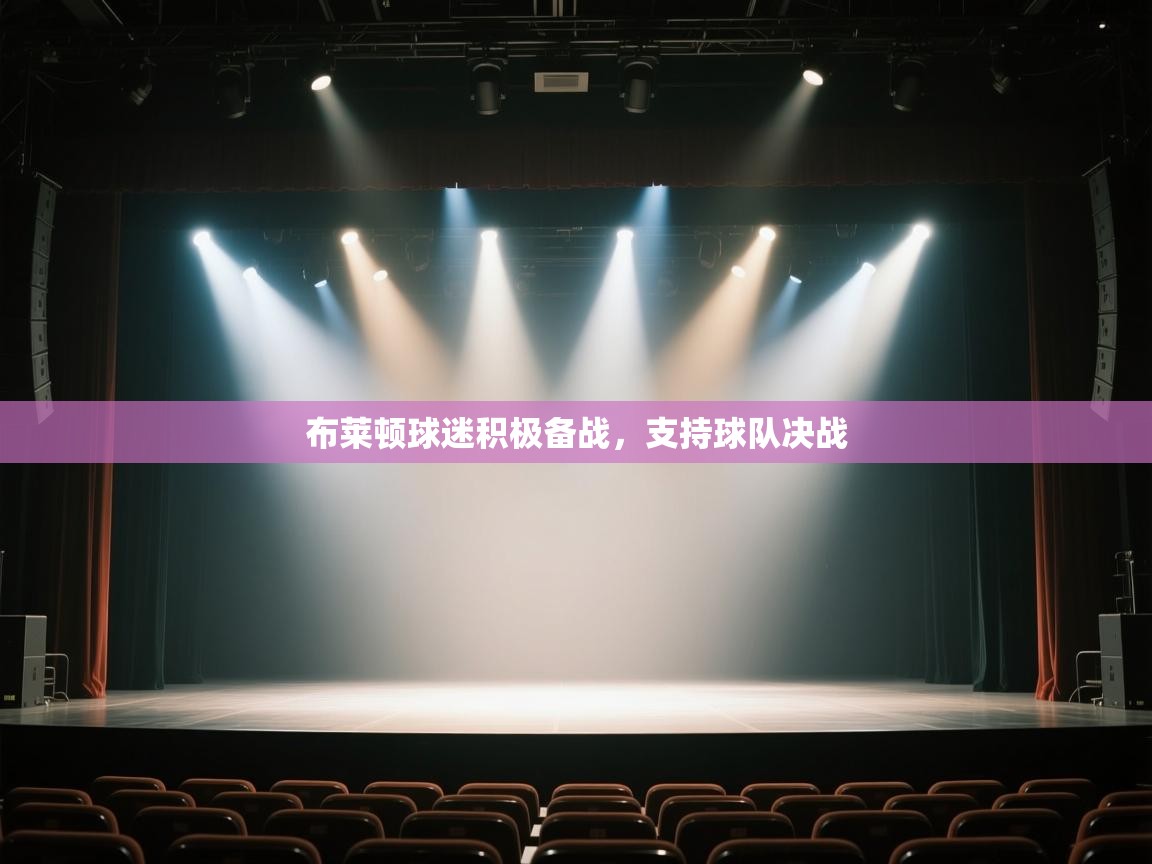 布莱顿球迷积极备战,支持球队决战 第2张