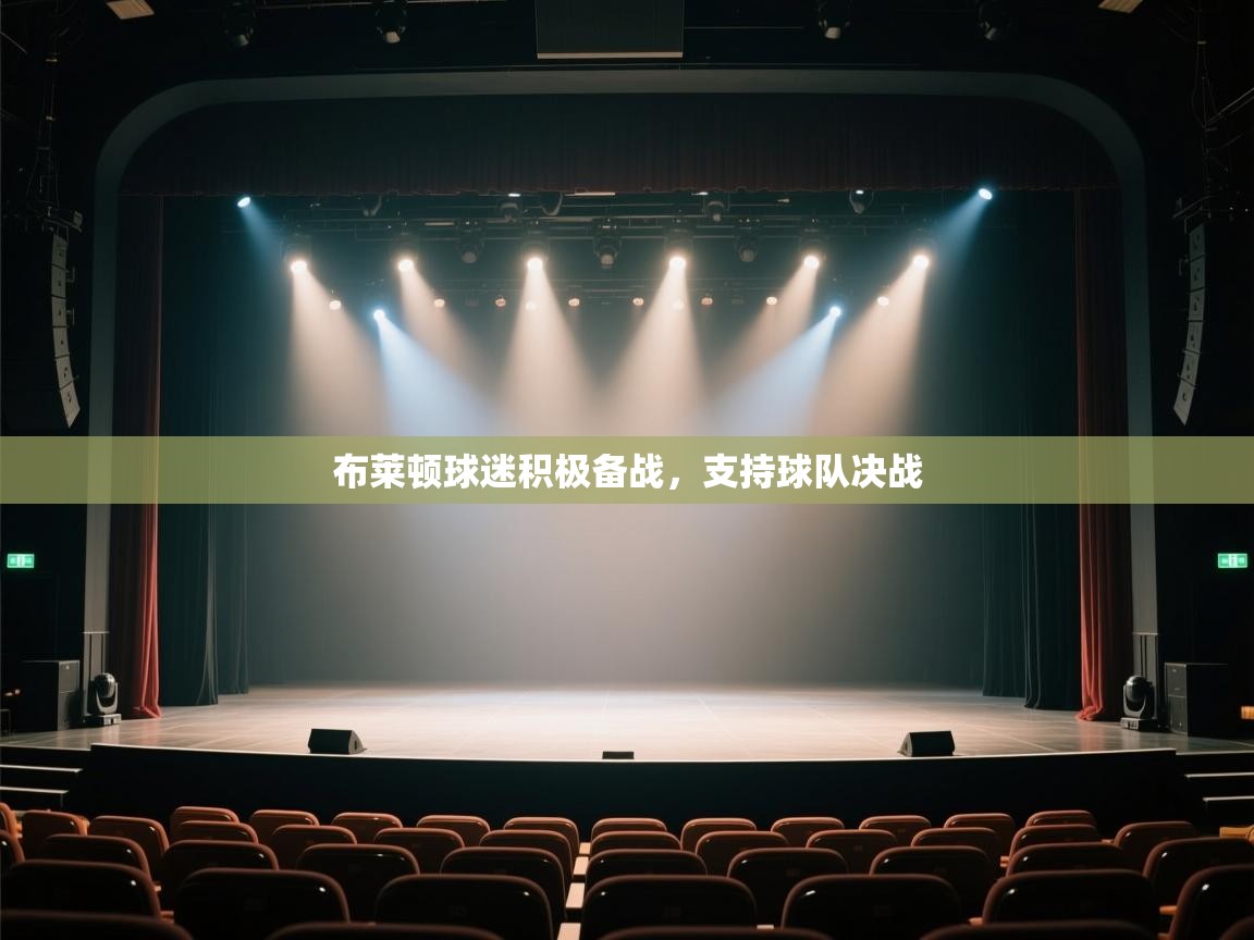 布莱顿球迷积极备战,支持球队决战 第1张