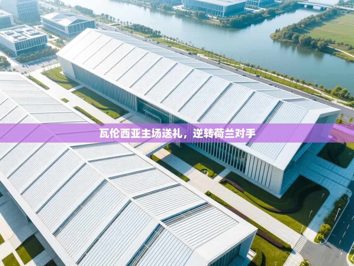 瓦伦西亚主场送礼，逆转荷兰对手  第1张