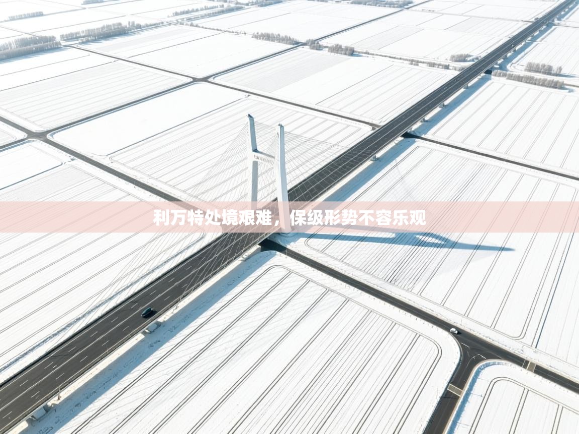 利万特处境艰难，保级形势不容乐观  第2张