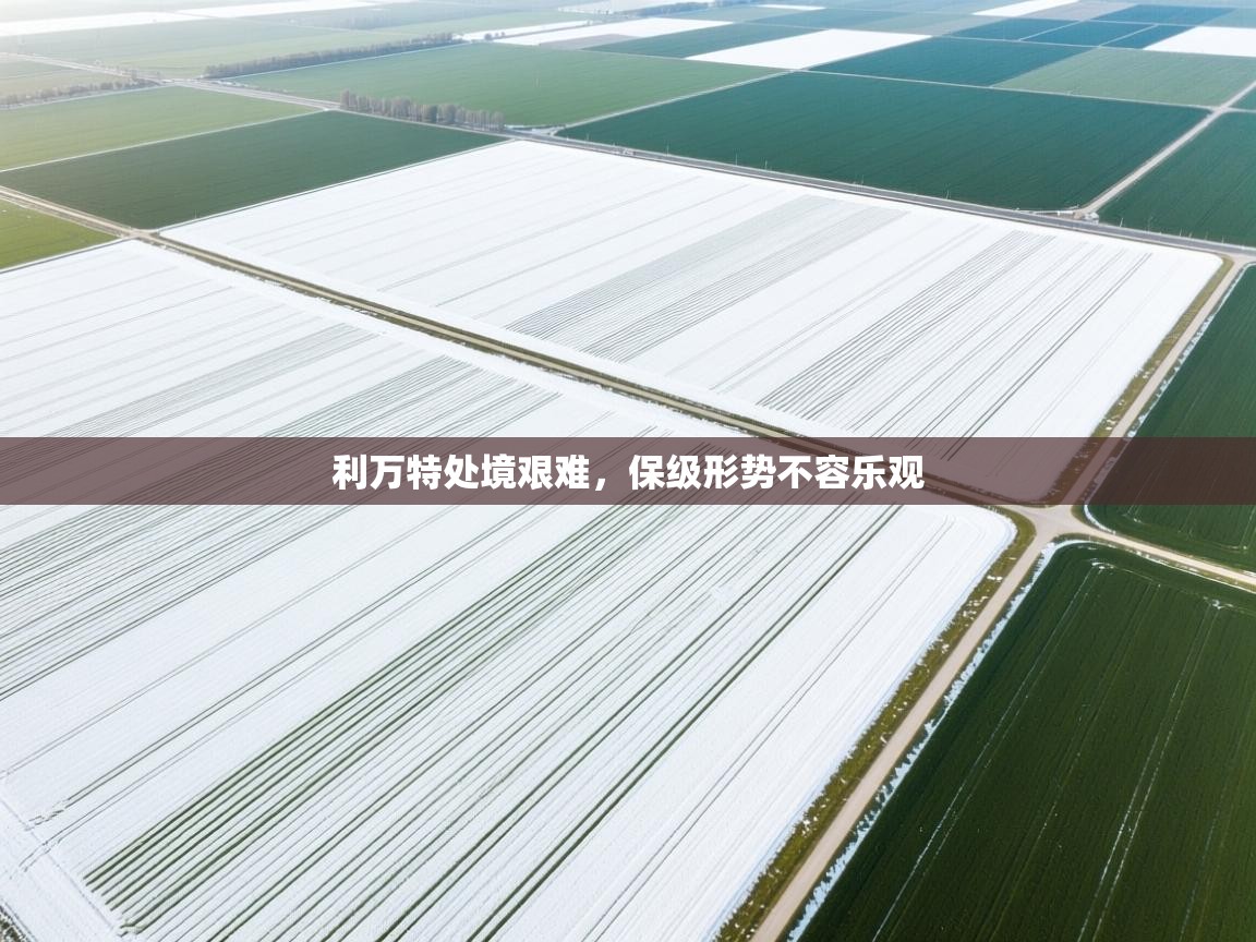 利万特处境艰难，保级形势不容乐观  第1张